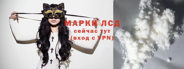винт Алзамай
