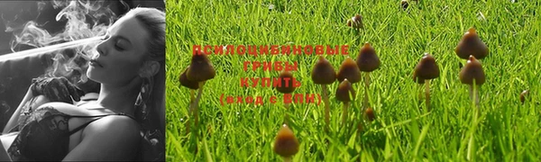метадон Арсеньев