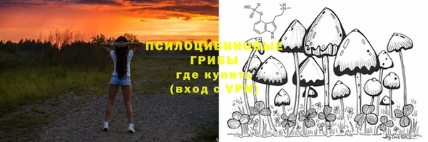 прущий лед Абаза