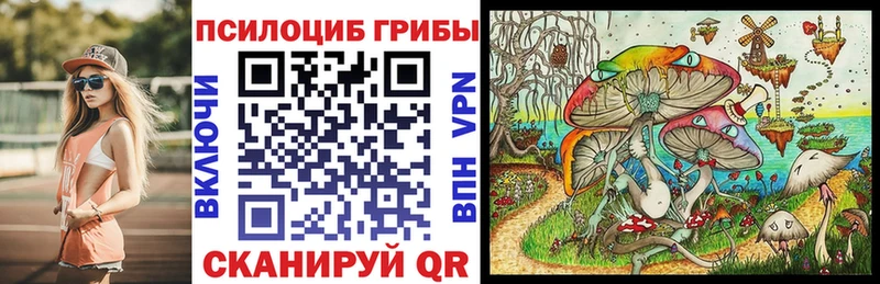 Галлюциногенные грибы Psilocybe  blacksprut ССЫЛКА  Ясный 